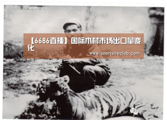 6686直播
