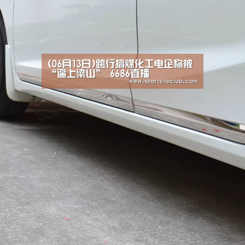 (06月13日)跨行搞煤化工电企称被“逼上梁山”_6686直播(图2) 6686快讯