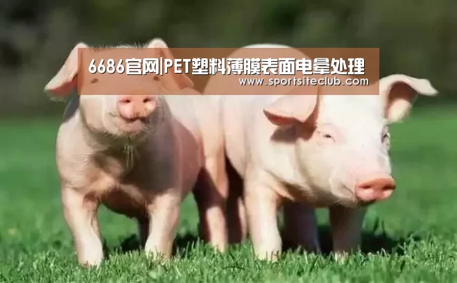 6686快讯