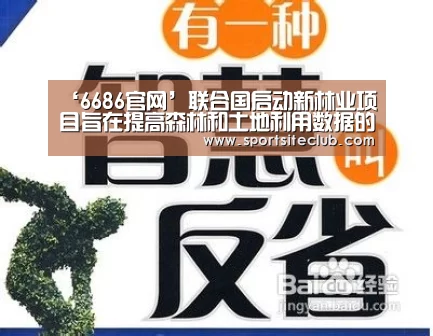 6686快讯