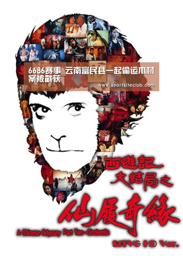 6686赛事_云南富民县一起偷运木材案被截获(图3) 6686赛事