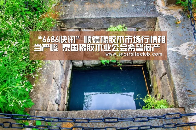 “6686快讯”顺德橡胶木市场行情相当严峻 泰国橡胶木业公会希望减产(图2) 6686官网